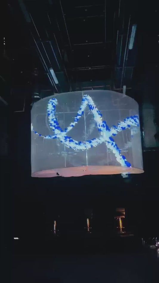 Alquiler de Malla holografica